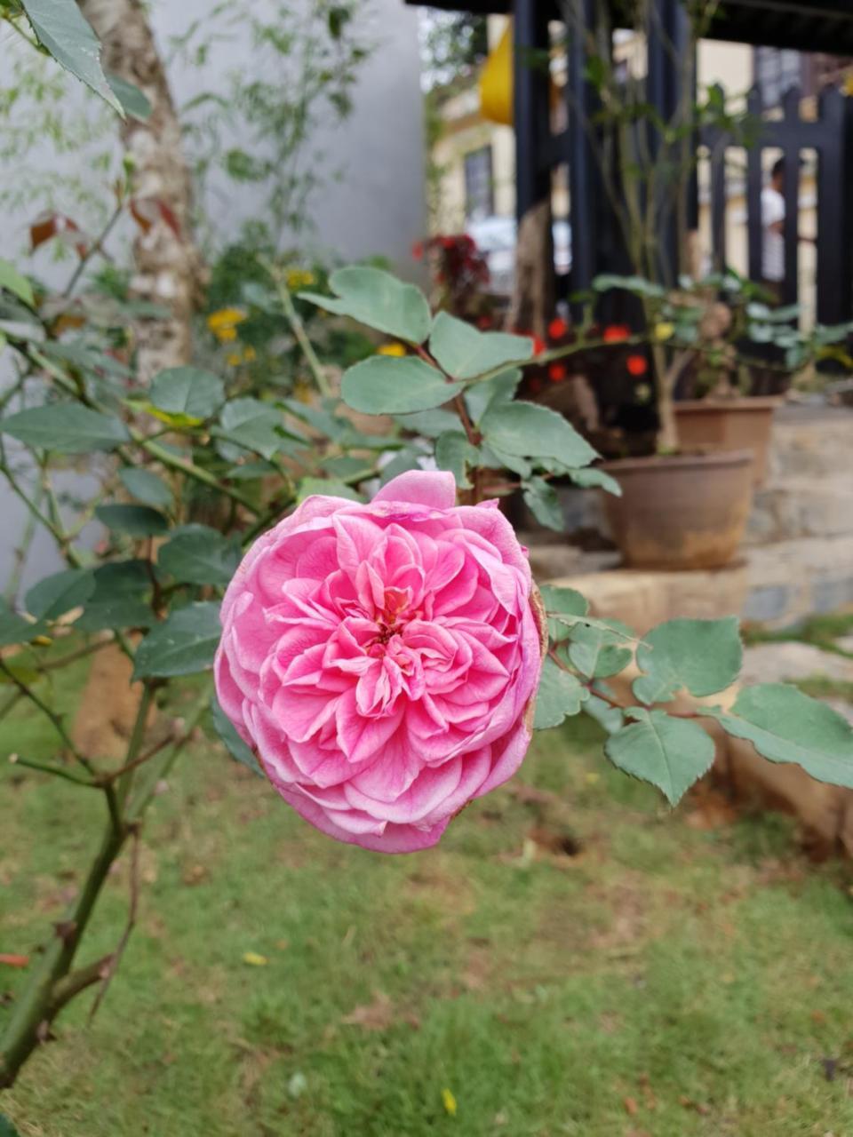 Sapa Charming Homestay Extérieur photo